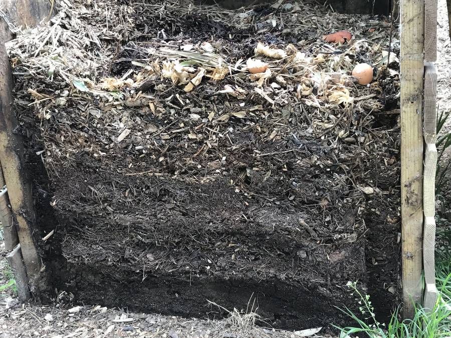 compost_en_coupe.jpg compost_en_coupe.jpg